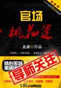 官场桃花运