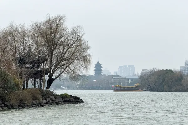Bare branches frame South Lake, with buildings faintly visible on the opposite shore.
