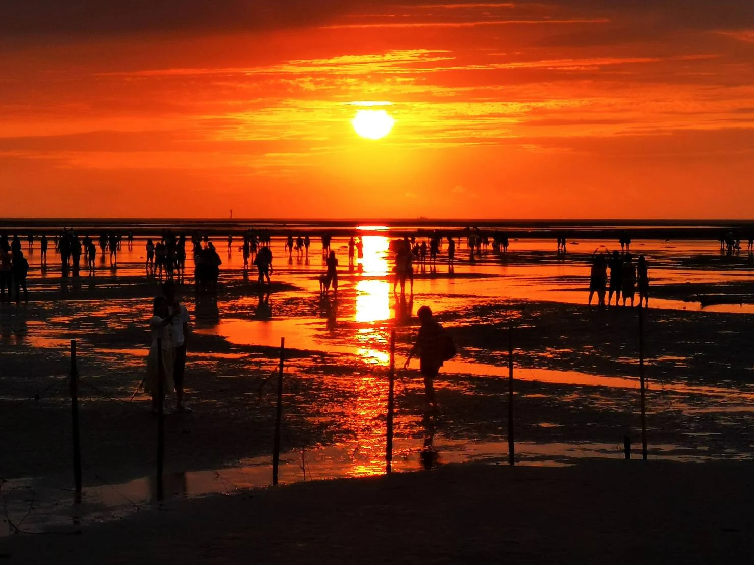 Atardecer en los humedales de Gaomei