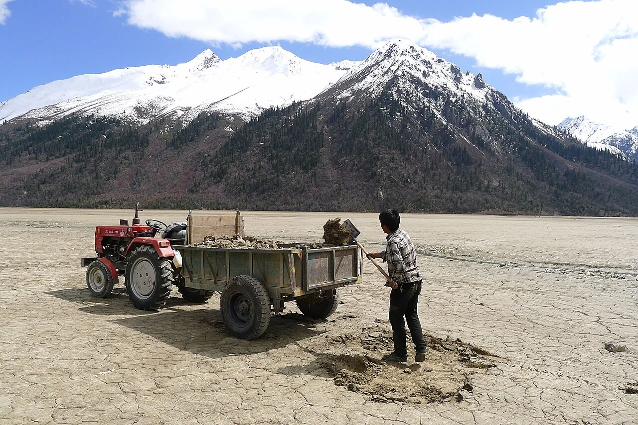 People remove sediment from an exposed part of Ranwu Lake in May 2012.