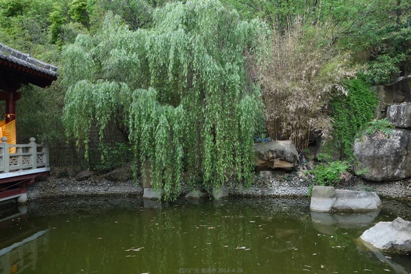 Huangze Temple