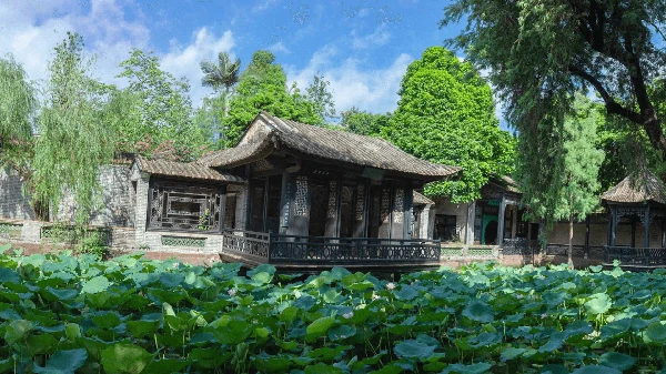 Ein Lotosteich zwischen Gartenhallen und Grün im Qinghui-Garten