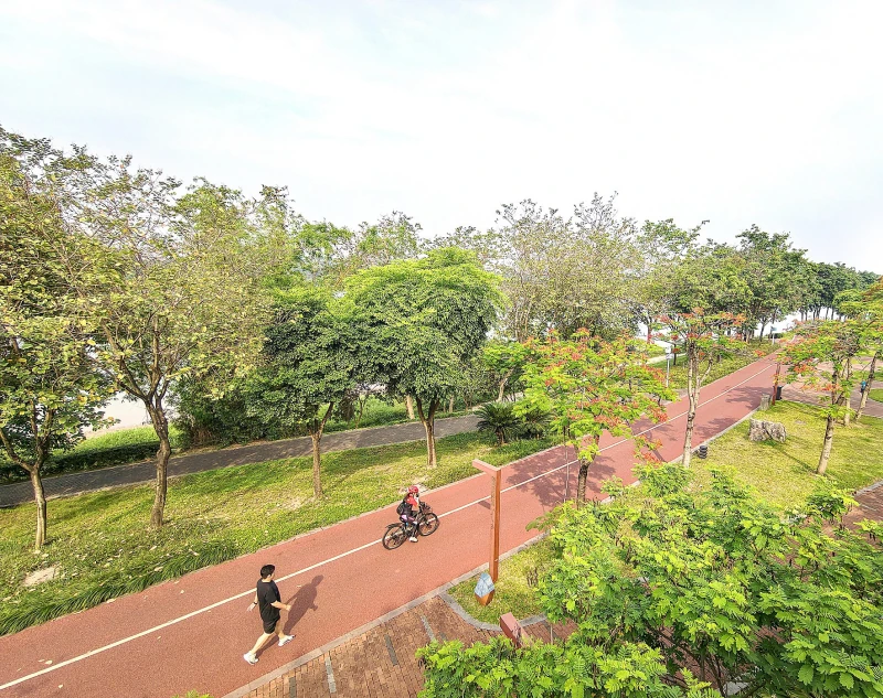 Ein Läufer und ein Radfahrer nutzen einen roten Weg zwischen Bäumen am Yong-Fluss in Nanning.