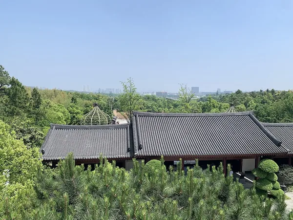 Dark tiled roofs sit among dense green trees at Niushoushan.