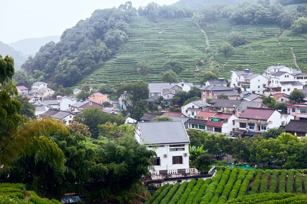 Tea terraces climb behind the clustered homes of Longjing Village in Hangzhou.