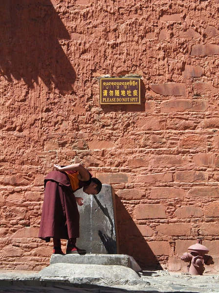 Tashilhunpo vu depuis la colline