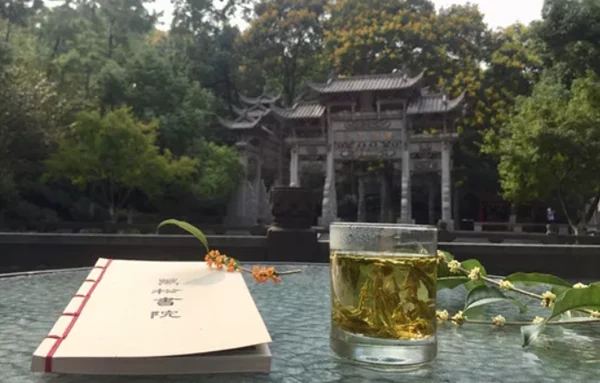 萬松書院