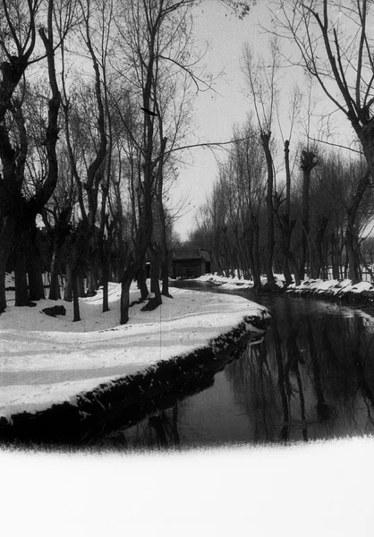 Eine Salar-Siedlung außerhalb von Jishi in Xunhua, 1932.