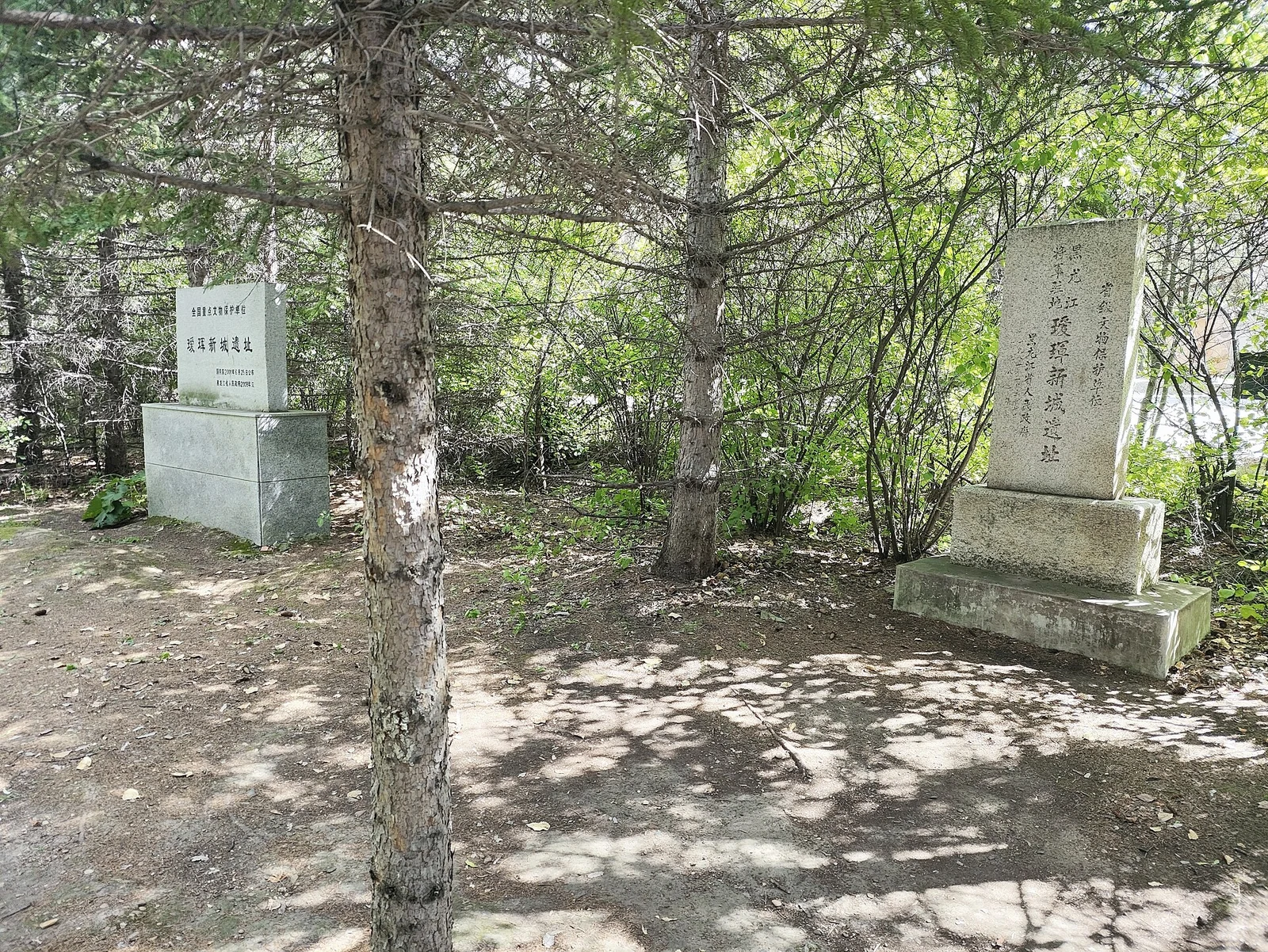 Знаки наследия среди деревьев в Новом городе Айгуня