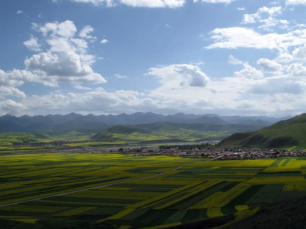 Bewirtschaftetes Tal und Berge von Menyuan, fotografiert im Juli 2009.