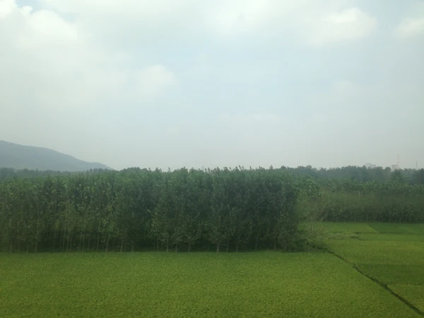 Campos no distrito de Shihe, Xinyang