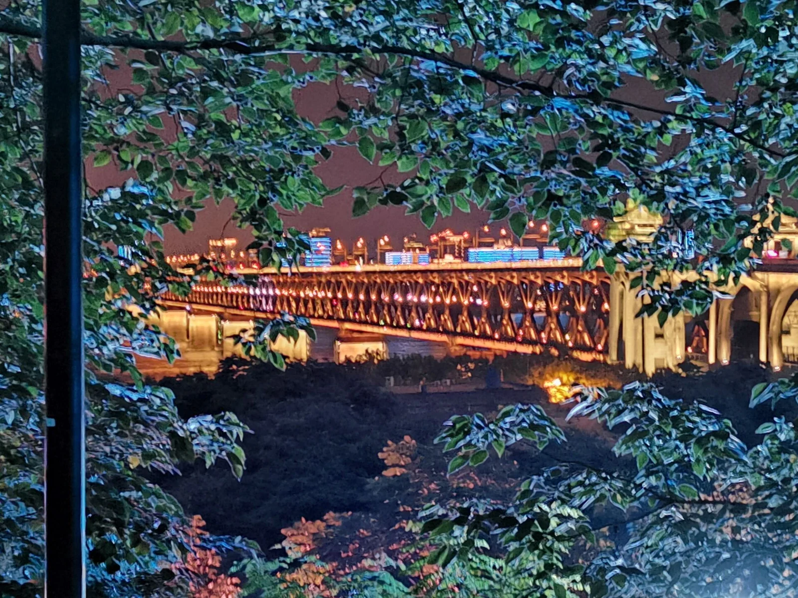 El puente del Yangtsé en Wuhan iluminado de noche, con sus luces filtradas por los árboles de la ribera.