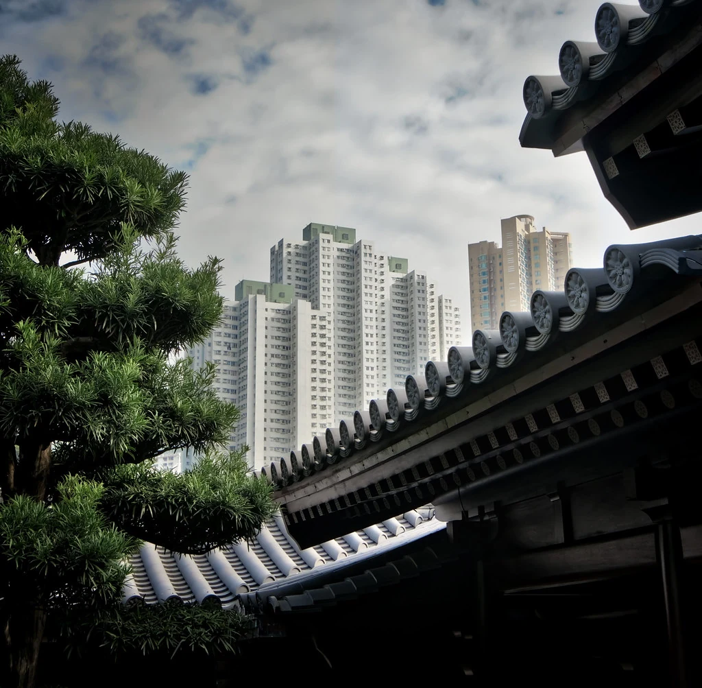 从南莲园池望见传统木构建筑与远处高楼。