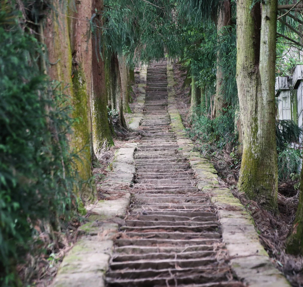 一景： 蒙頂山