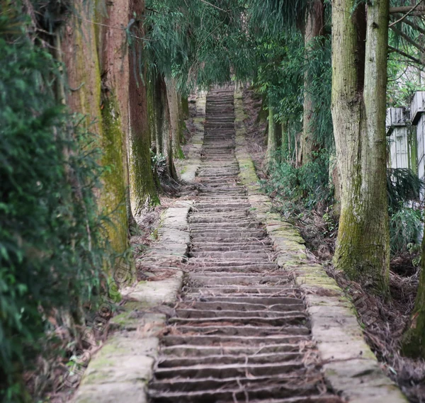 Stone steps of the tea horse road on Mengding Mountain