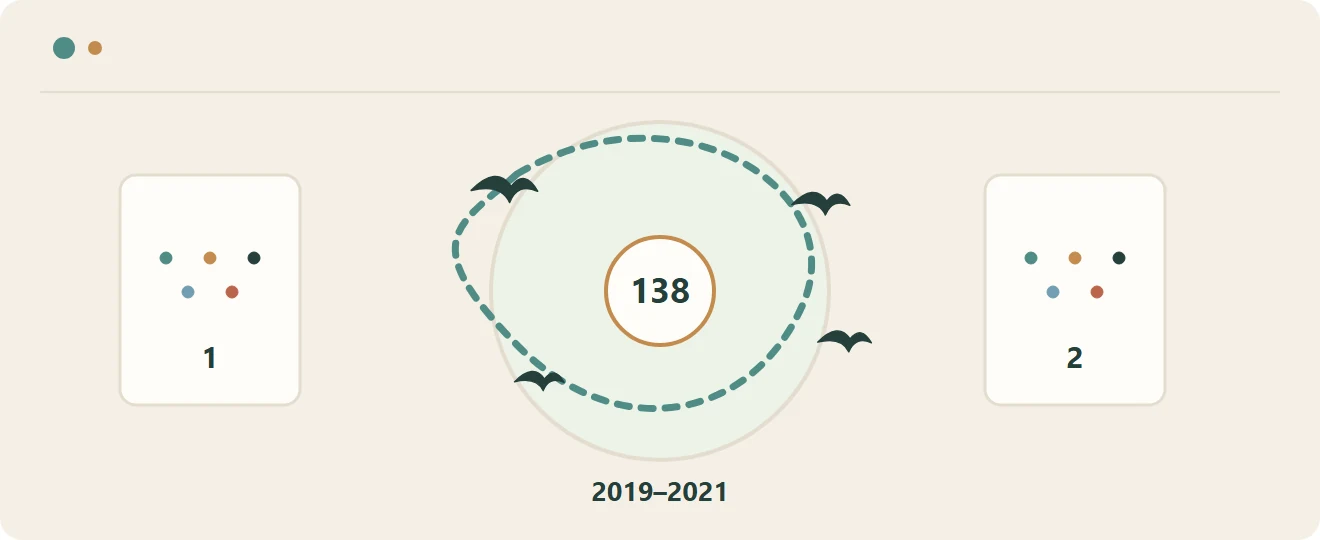 편집부 제작 설명 도해(사진·실측도가 아님): 2019~2021년 같은 조사 경로와 지점을 반복 관찰해 보호구역에서 138종의 새를 기록했다.