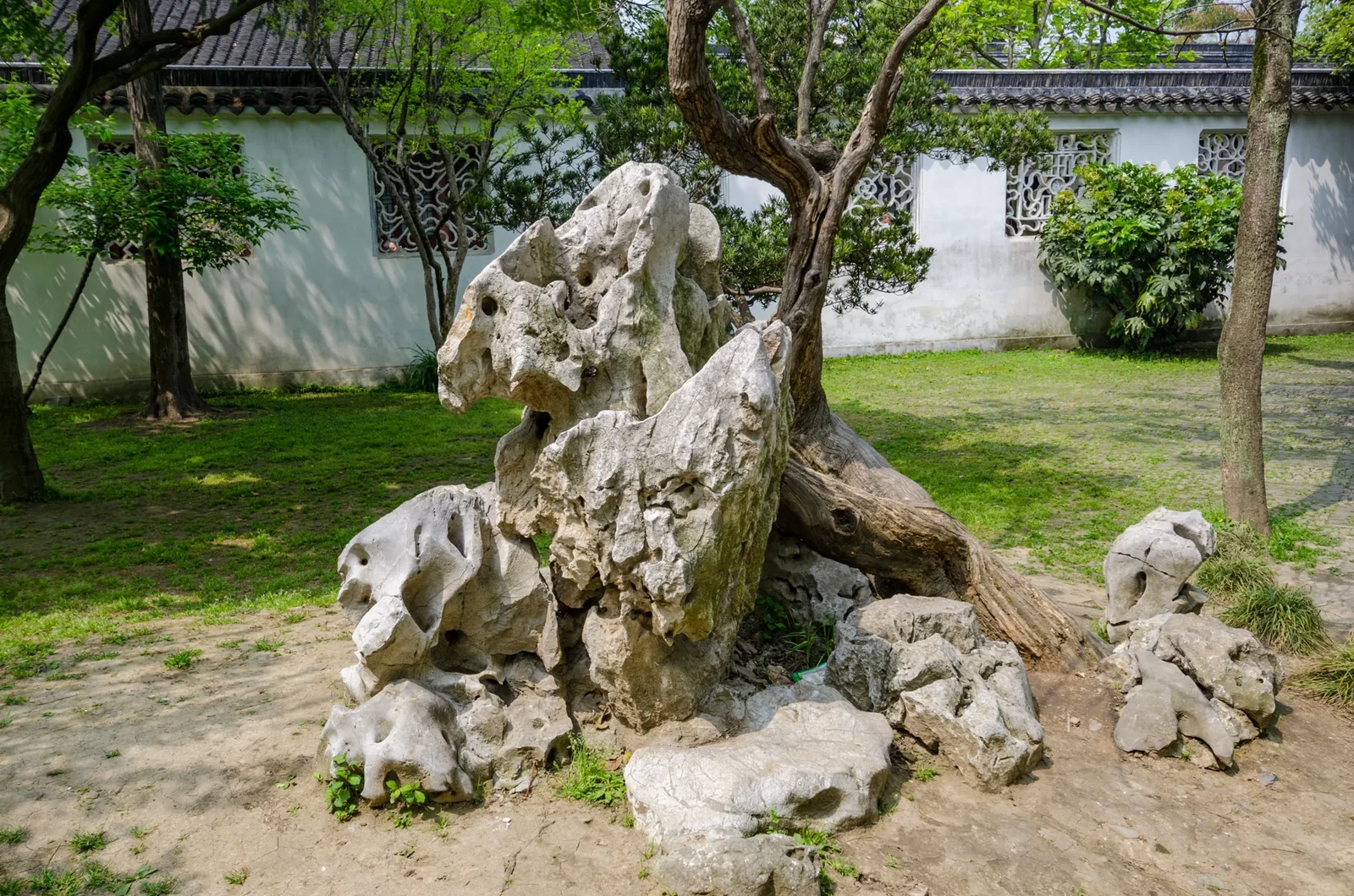Verwitterte Gelehrtensteine unter einem Baum im Garten des bescheidenen Beamten in Suzhou.