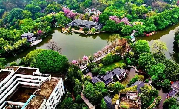 An aerial view of a tree-filled park with a pond, bridges and tiled pavilions.