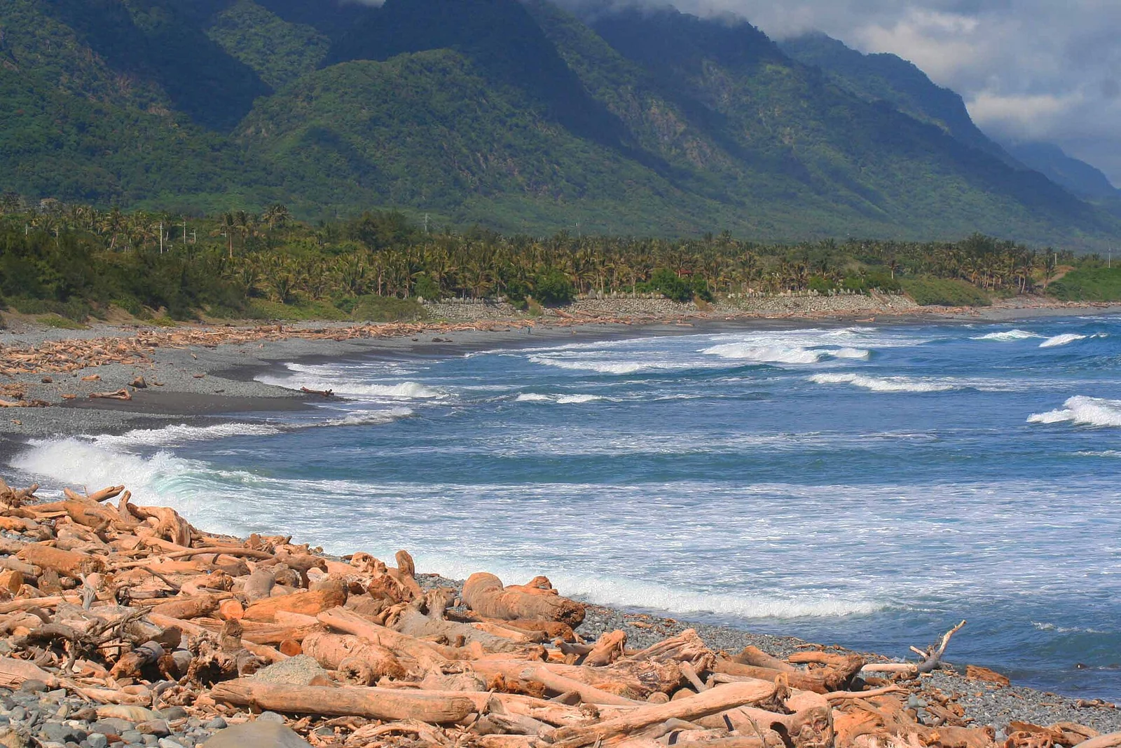 Bois flotté et sable sur la côte de Taitung