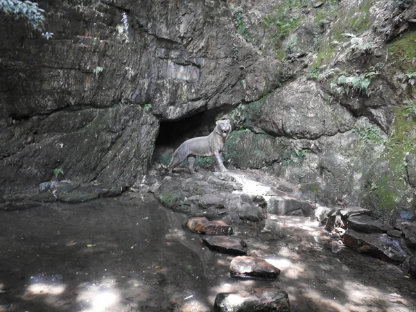 Tiger sculpture and spring landscape, Hupao