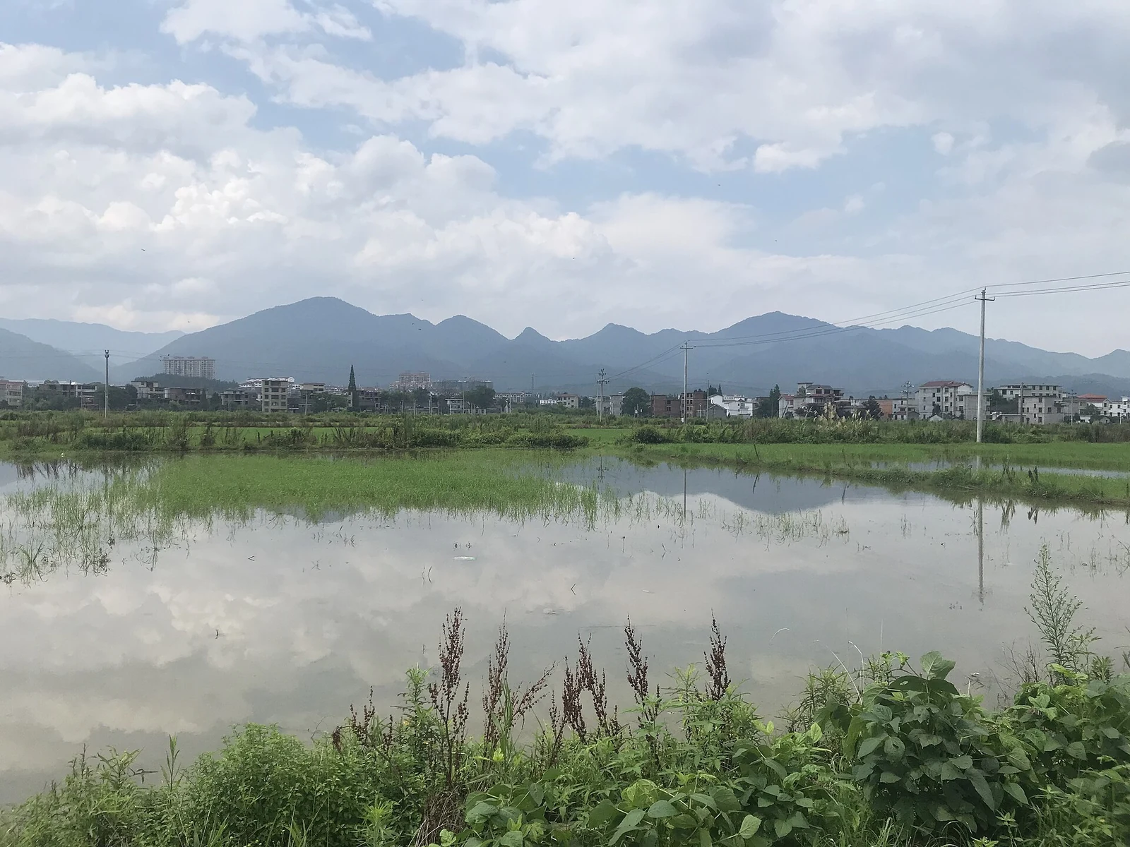 群山之下的井岡山市區