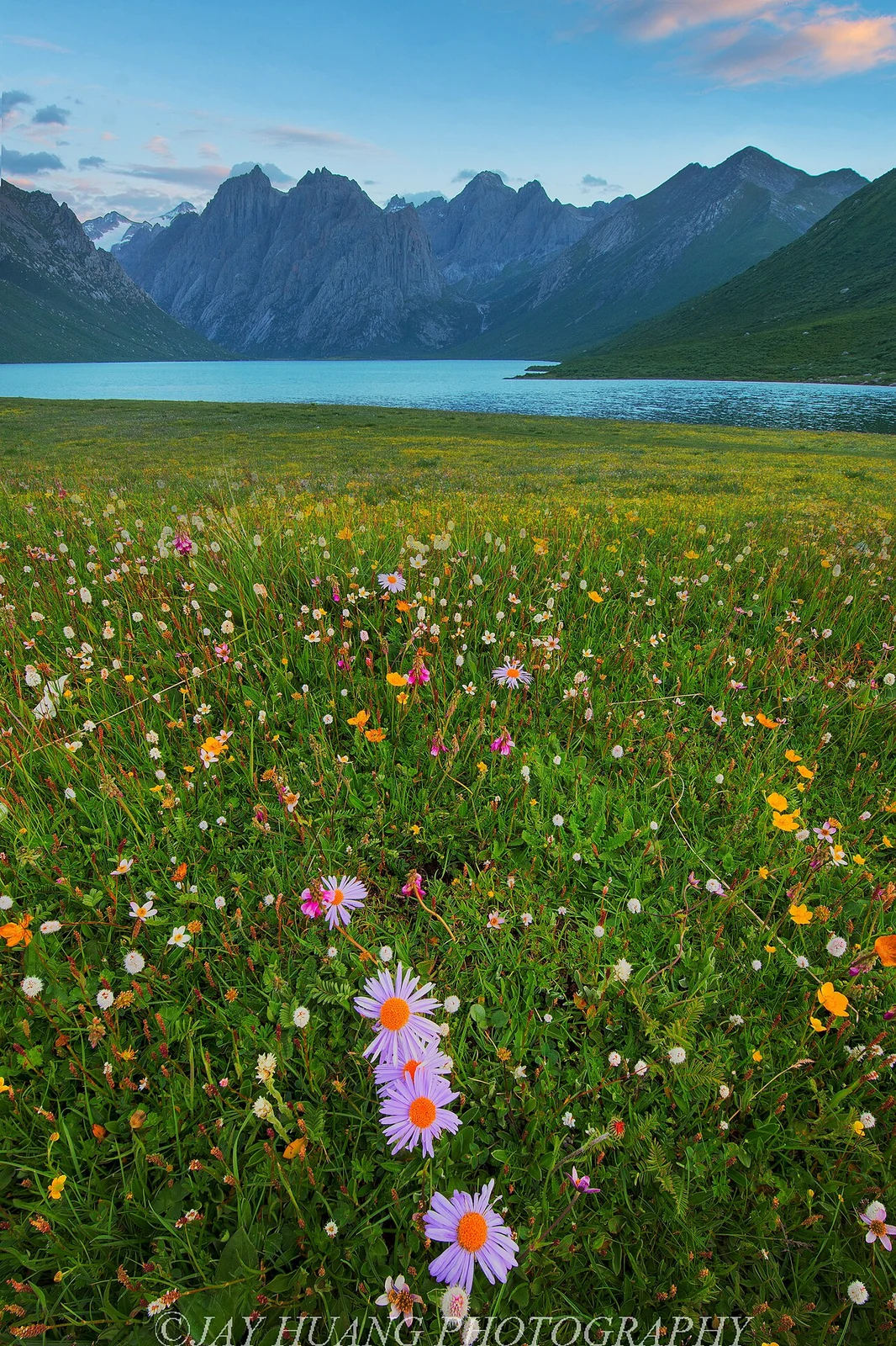 Fleurs et lac de montagne à Nianbaoyuze, juillet 2015.