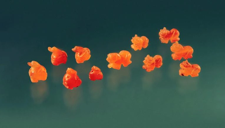 Pequeños adornos animales de ágata naranja translúcida sobre fondo verde oscuro.