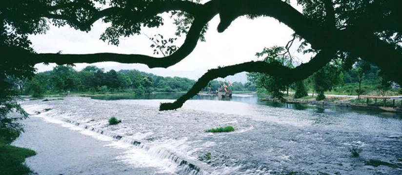 Water spills over a broad low weir beneath spreading tree branches at Lingqu.